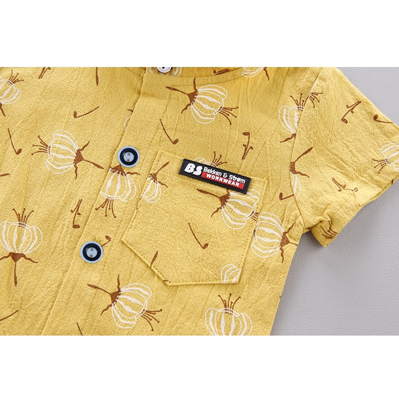 Conjunto De Roupa Para Bebê Menino 0-5 Anos – Camiseta E Shorts De Algodão Com Estampa De Dente De Leão Uso Casual De Ve