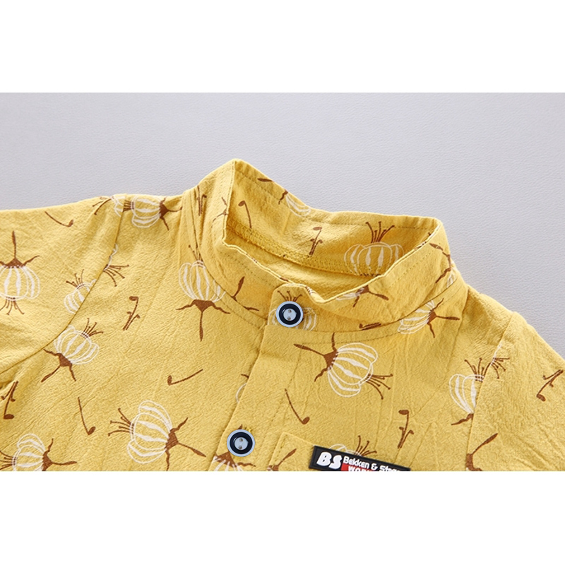 Conjunto De Roupa Para Bebê Menino 0-5 Anos – Camiseta E Shorts De Algodão Com Estampa De Dente De Leão Uso Casual De Ve